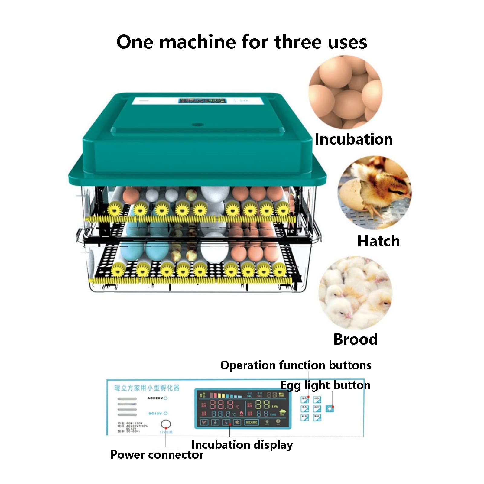 Amazon.co.jp: デジタル56卵インテリジェントインキュベーター